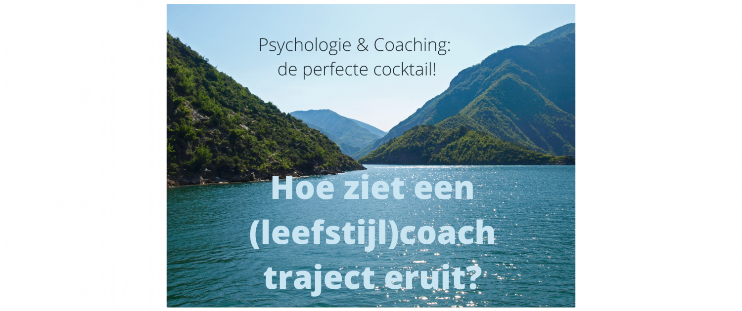 leefstijltraject leefstijlcoaching coach dordrecht psycholoog diagnostiek onderzoek behandeling trauma stress leefstijlroer interventies