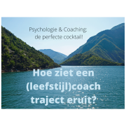 leefstijltraject leefstijlcoaching coach dordrecht psycholoog diagnostiek onderzoek behandeling trauma stress leefstijlroer interventies