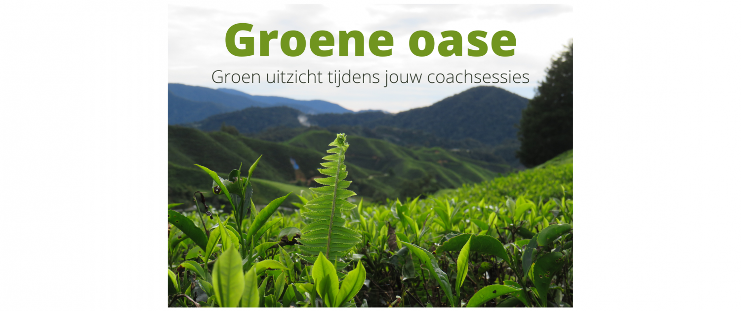 groene oase tuin natuur buiten zijn gezondheid welzijn weldaad coaching leefstijl leefstijlcoaching sessies dordrecht jijbentinzicht jij bent in zicht dordrecht
