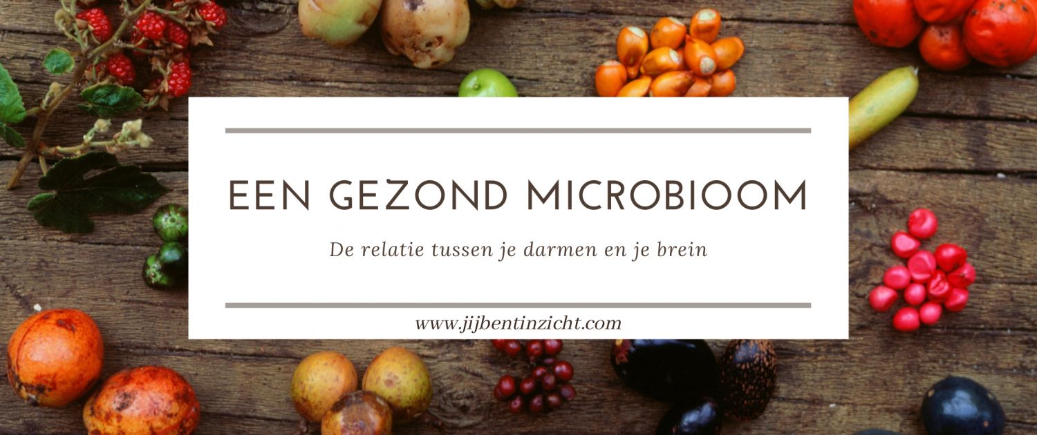 microbioom darmflora gezonde darmen brein-darm-as hersen-darm-as gezondheid voeding fermenteren kombucha kefir stemming depressie vermoeidheid